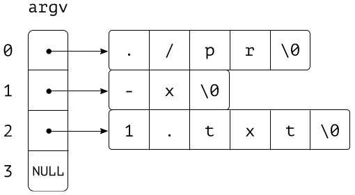 string_argv.png